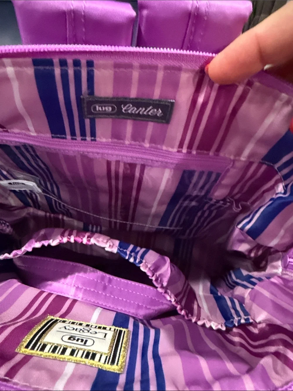 Lug Canter Convertible Bag Açaí NWT